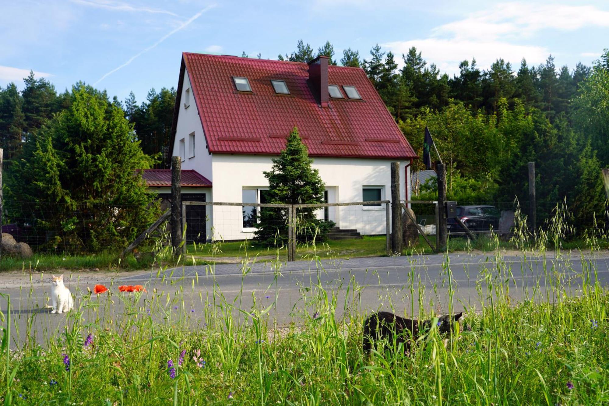 Lesna Kryjowka Appartement Trzebciny Buitenkant foto