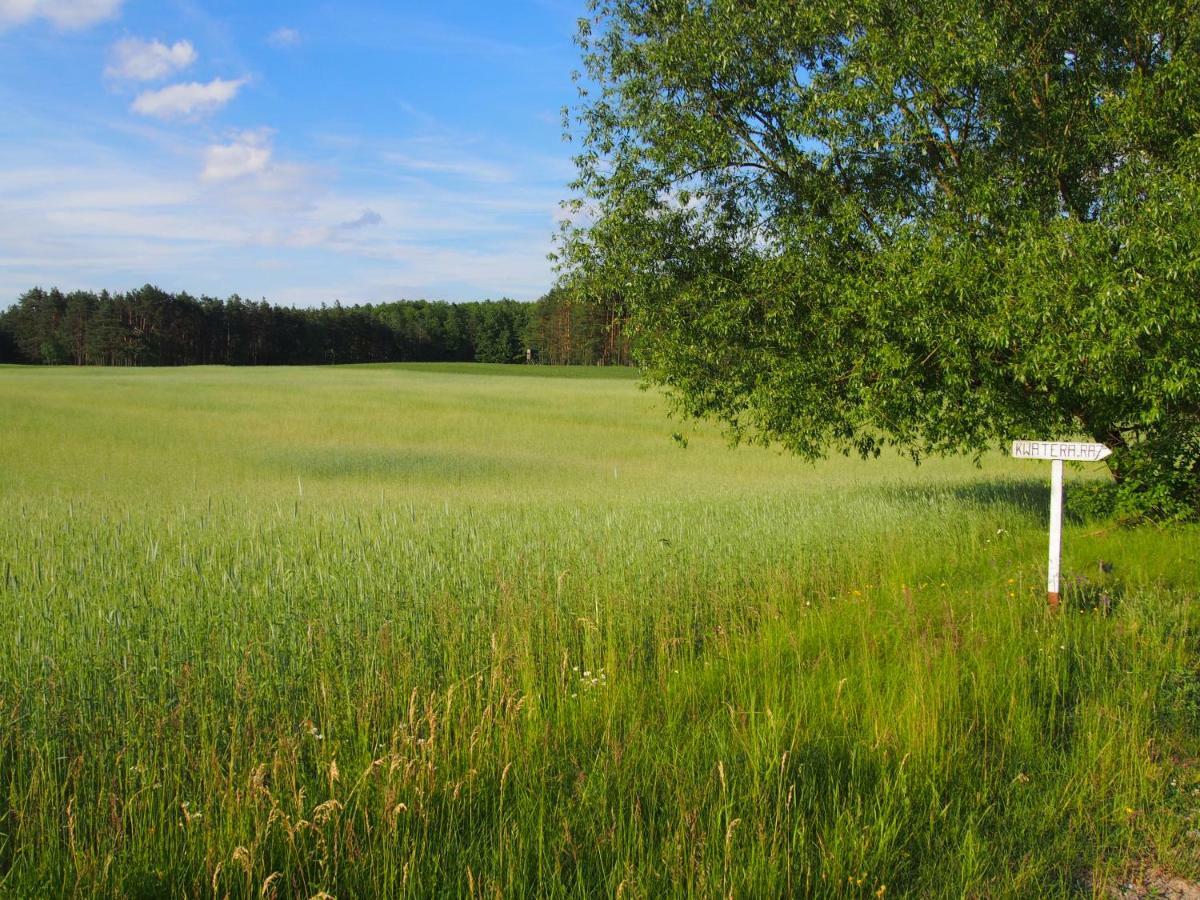 Lesna Kryjowka Appartement Trzebciny Buitenkant foto
